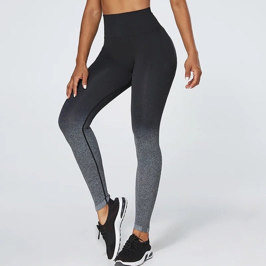 Leggins Ombre Degradado Seamless -Negro